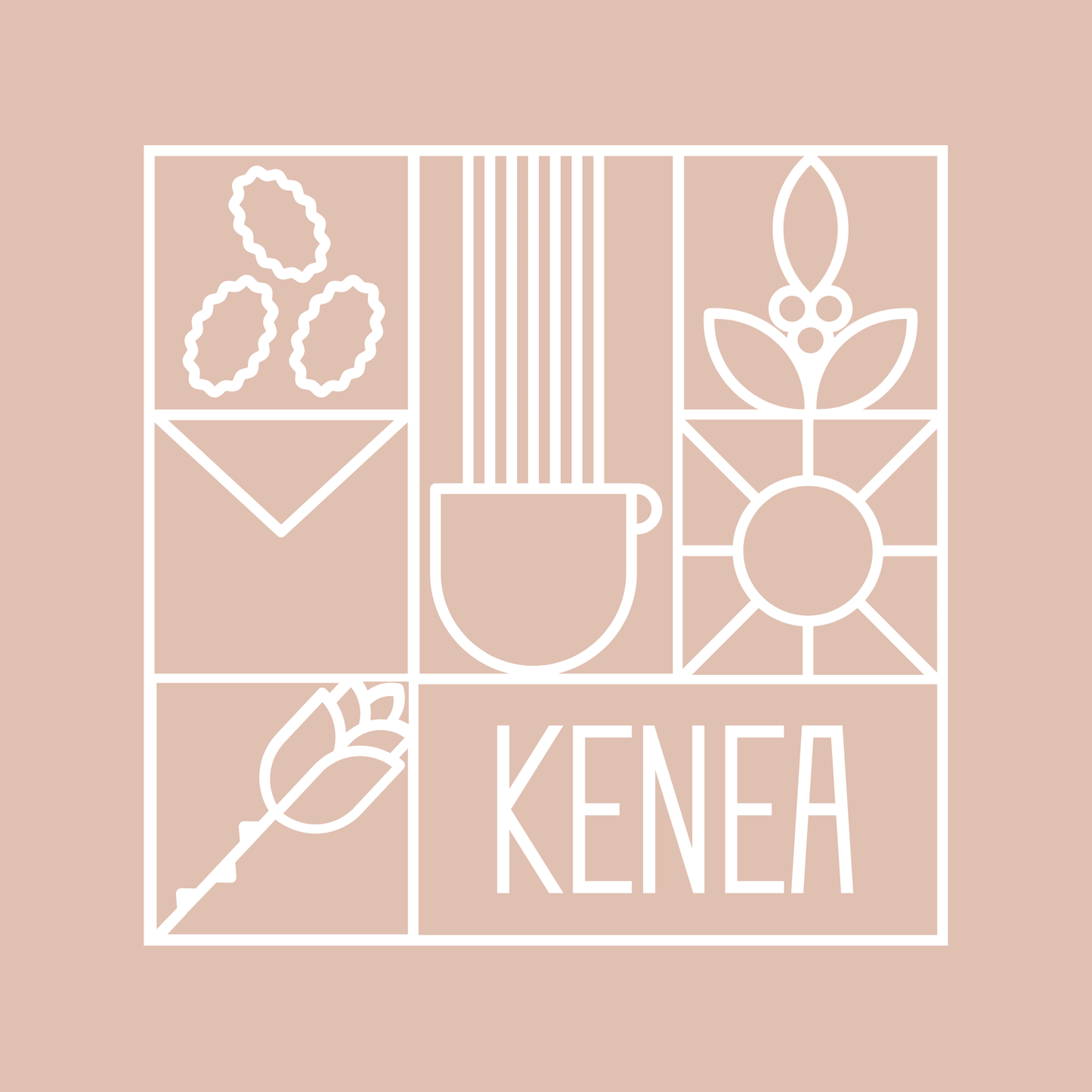 Kenya Kioru AA كينيا كيورو