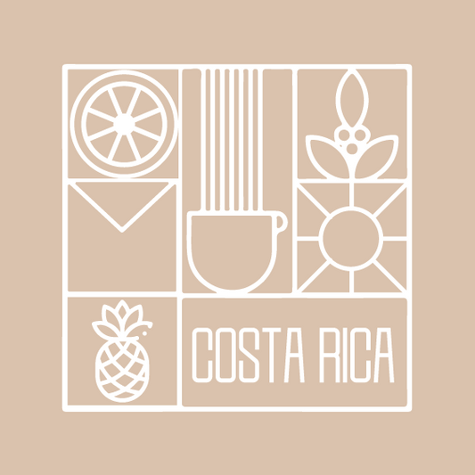 Costa Rica Alfonso كوستاريكا الفونسو