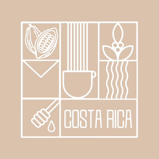 Costa Rica La Luisa Washed كوستاريكا لا لويسا مغسولة