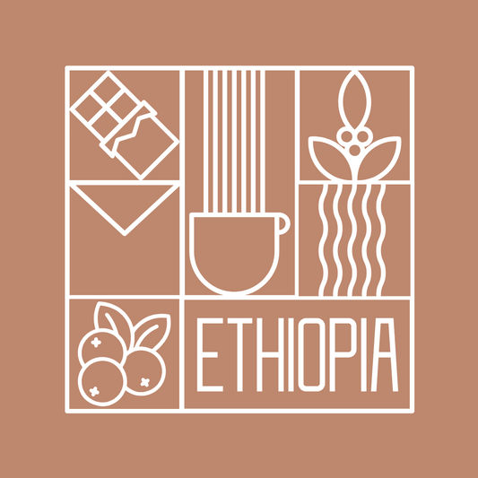 Ethiopia Buncho Washed  إثيوبيا بنتشو مغسولة