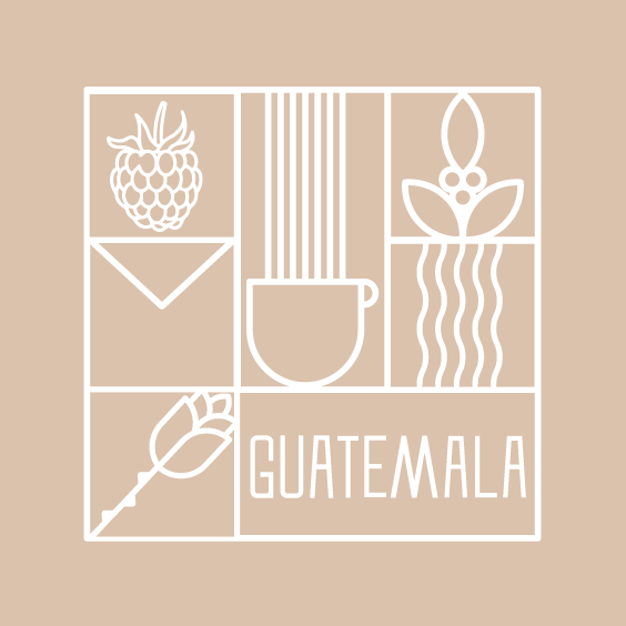 Guatemala Ocaña Geisha غواتيمالا اوكانا قيشا