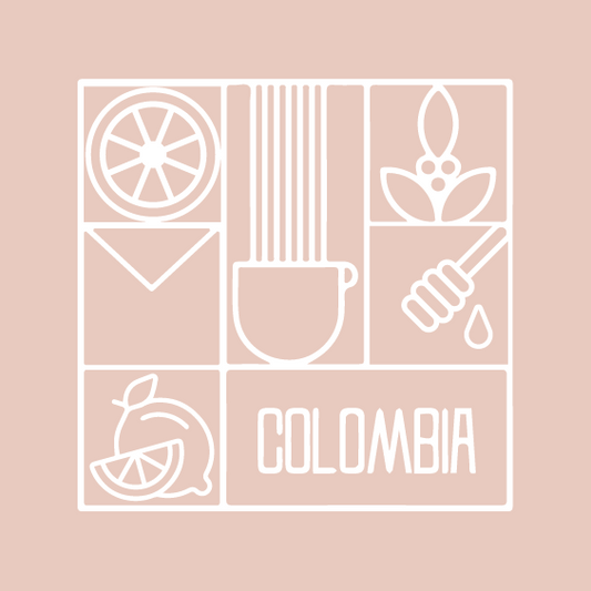 Colombia Santa Teresa  - كولومبيا تيريسا